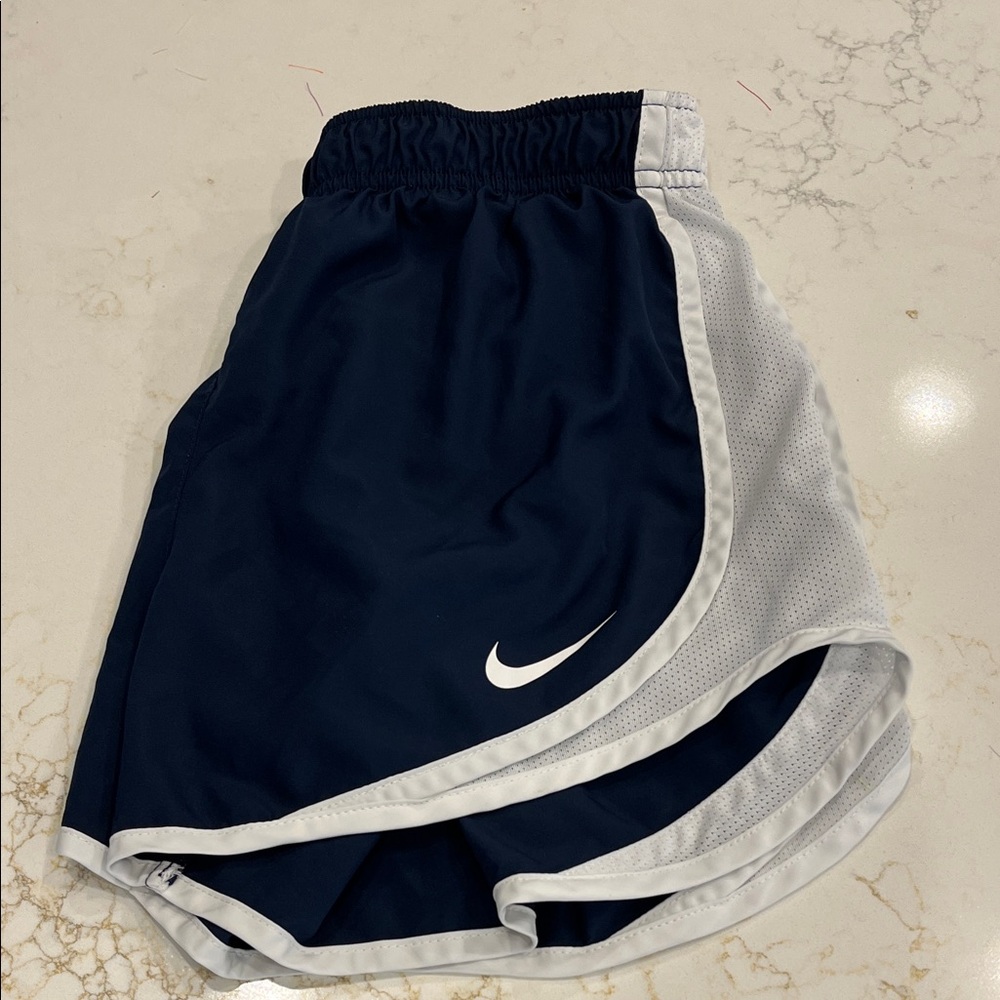 Nike Navy and White Shorts